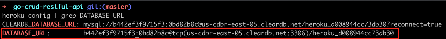 environment database_url